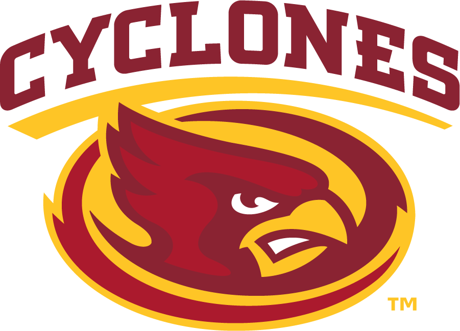 Iowa State Cyclones 2008-Pres Secondary Logo v2 iron on transfers for clothing